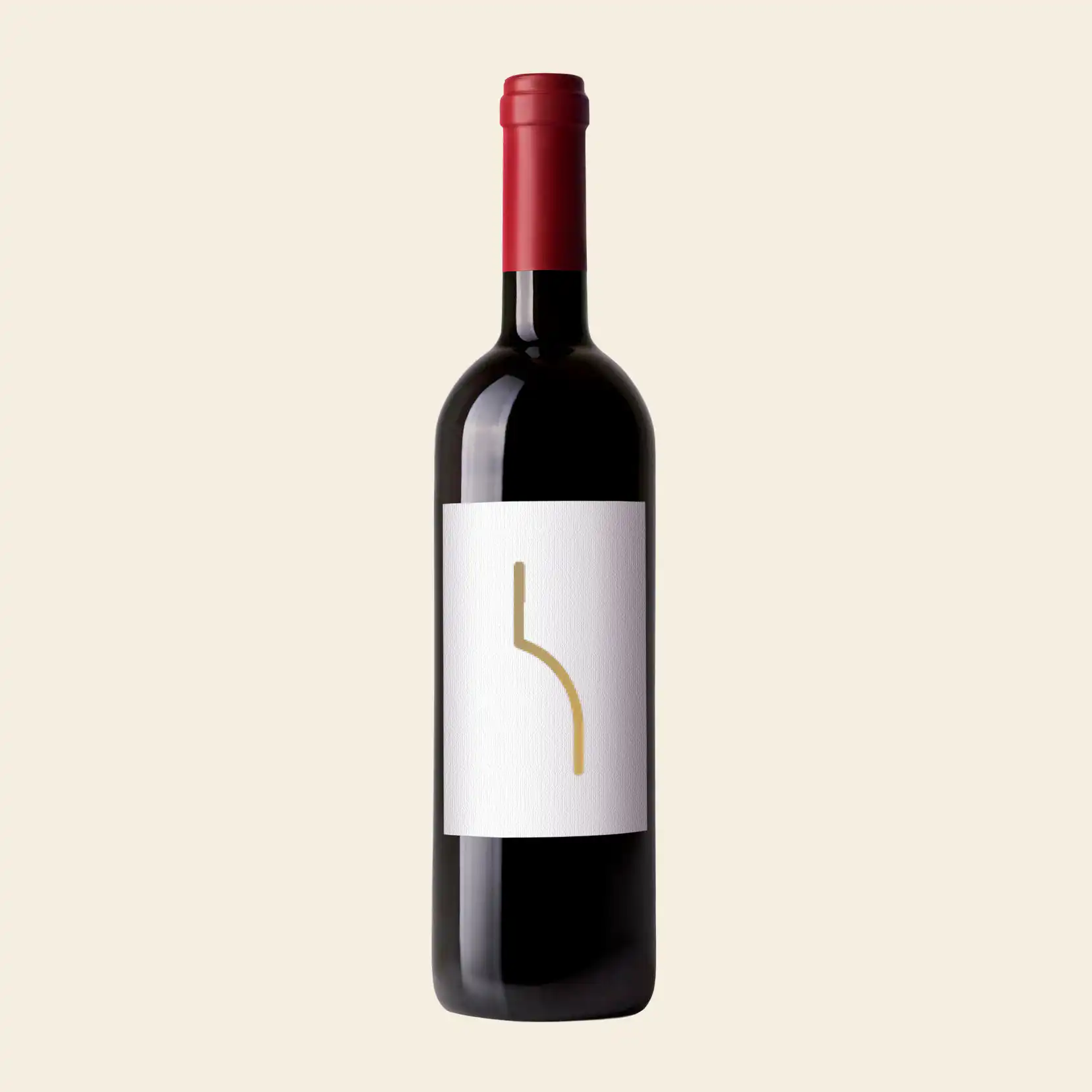 2016 Roagna, Barolo, Pira Vecchie Viti 6x75cl - Vinum Fine Wines